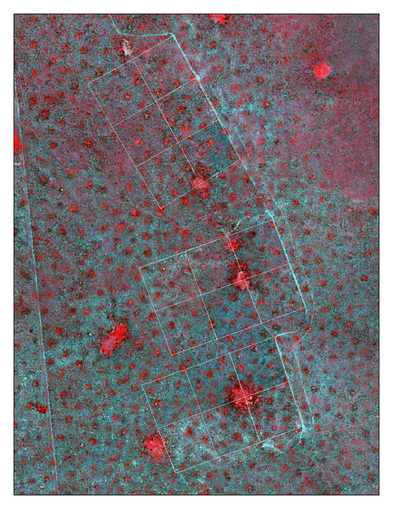 False Color